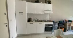 Monolocale Via Luigi Giulotto, Policlinico, Pavia
